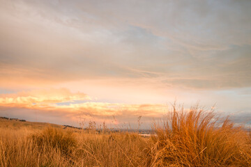 Sunrise at Godley Head - Banks Peninsula, New Zealand - 05