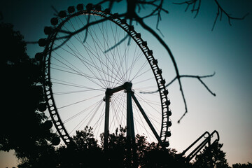 ferris wheel in the park