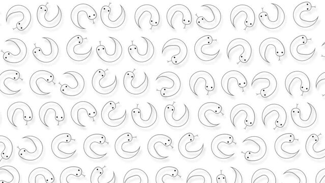 Movement of small colored snakes