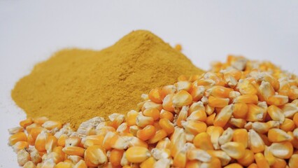 Yellow gold Corn gluten and corn are the nutrient rich co-product of dry -milled ethanol .The biofuel plants are a growing source