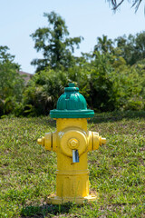 yellow hydrant