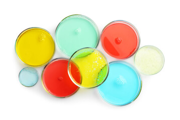 Petri dishes with different liquid samples on white background, top view
