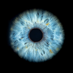 Macro photo of human eye on black background. Close-up of male blue colored eye. Structural Anatomy. Iris Detail. Filamentes and Pigments. Super Resolution. - obrazy, fototapety, plakaty