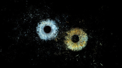 Galaxy explosion effect of human eyes colliding on black background. Close-up of blue and green...