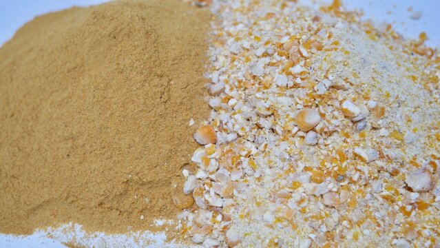 Yellow gold Corn gluten and corn are the nutrient rich co-product of dry -milled ethanol .The biofuel plants are a growing source