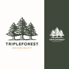 pine evergreen cedar cypress larch pinus tree forest vintage retro hipster hand drawn Logo design illustration - obrazy, fototapety, plakaty