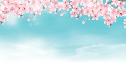 Rolgordijnen 桜　春　花びら　背景 © J BOY