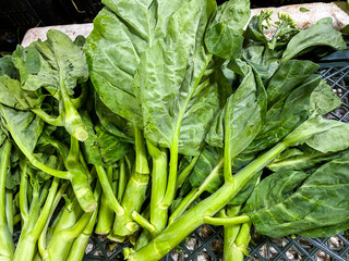 Fresh kale leaves salad vegetable background.  Food concept..Fresh kale leaves salad vegetable background.  Food concept..