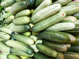 Top view cucumbers, long cucumbers, vegetables harvest, food background, copy space for text