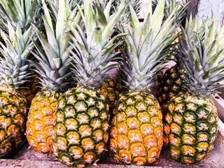 Front view of bunch Pineapple on table. Fruits or healthcare concept.