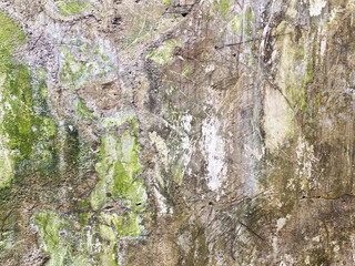 Messy and grunge concrete surface for a banner template.