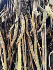 Decorative wooden wall panel with intricate patterns, suitable for adding flair to any space.