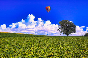 美瑛の美しい田園風景上空を飛行するバルーン