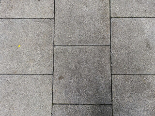 The stone-like texture of the concrete background lends a sense of authenticity.