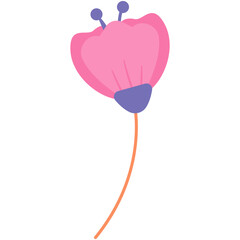 Floral vector illustration. Colorful flat vector illustration with floral theme.