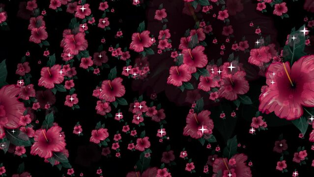 Flower Background with particles. Hibiscus flower with vogue, colors, serenity, petals, and particle lights for weddings, couples, memory, Valentine's Day, celebration projects, and Mother's Day. 