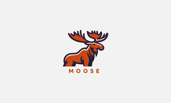 moose vector illustration logo design creative