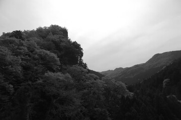 白黒で写した山々の木々の風景2