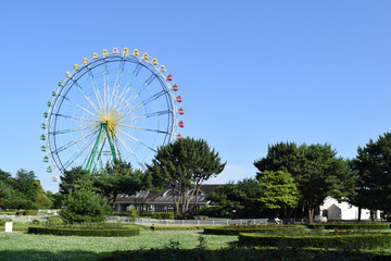 Fototapeta premium Hitachi Seaside Park