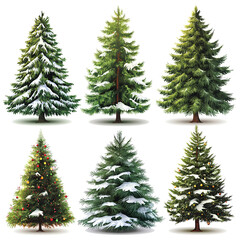 Fototapeta premium Isolated pine tree on white, Festively decorated Christmas tree with snow