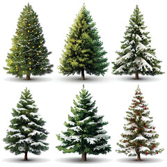 Fototapeta premium Isolated pine tree on white, Festively decorated Christmas tree with snow