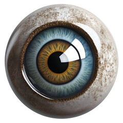 Eyeball medical illustration, 3d rendering of human body
