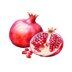 Pomegranate Watercolor