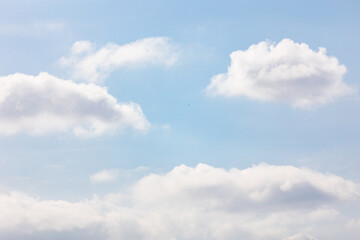 Fototapeta premium 青空