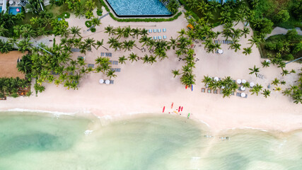 Aerial view of a tropical beach resort with palm trees, sun loungers, and clear turquoise waters, ideal for travel or vacation concepts