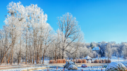 Olsztyn- zima w parku. © Janusz Lipiński