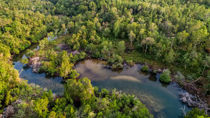Aerial view of a meandering river through a dense green forest, depicting the natural beauty and serenity of a pristine wilderness area