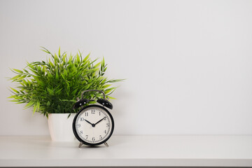 Black clock next to a green plant on a white background