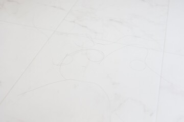 脱衣所（クッションフロア）の床に大量の髪の毛が落ちている