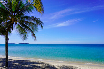 Fototapeta na wymiar Beach in southeast asia. Palm trees and blue sea, heavenly place