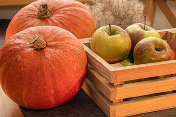 Pumpkins and apples. Autumn harvest