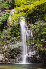 Fototapeta premium 滝の写真