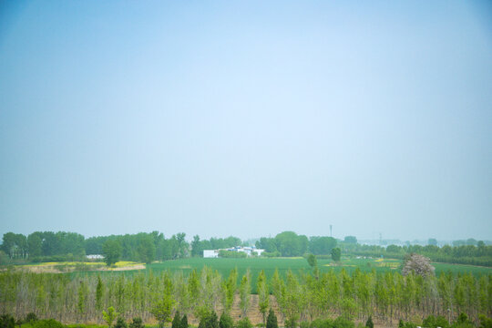 Luoyang City, Henan Province - Field scenery under the blue sky
