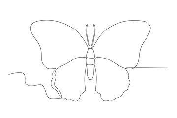 Top view of a flying butterfly. Butterfly one-line drawing