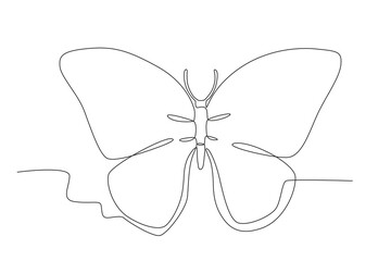 Illustration of a butterfly. Butterfly one-line drawing