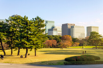 Tokyo Skyline view from the East Gardens of the Imperial Palace in Tokyo, Japan. 