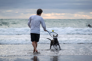Man playing tennis with black dog on ocean beach