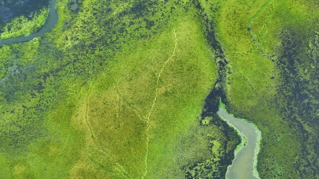 A murky river, poisoned by the ominous discharge of industrial wastewater, as it transforms clear waters into a toxic canvas of ecological despair. Environmental pollution and Climate change concept.
