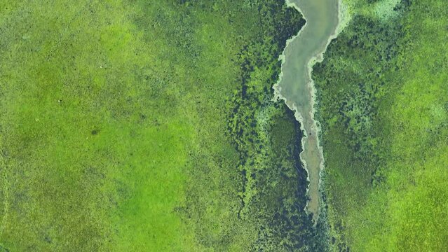 Wastewater produced by industrial processes constitutes a significant contributor to water pollution, characterized by the presence of hazardous chemicals, heavy metals, and toxic substances. Drone.
