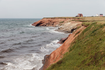 vue sur la côte avec de la roche rouge en été avec du gazon sur le dessus 
