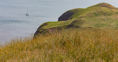 vue sur le bord de la mer à partir du haut de la falaise avec du gazon vert au sol en été