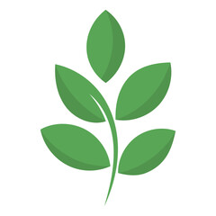 Green leaves vector eco design