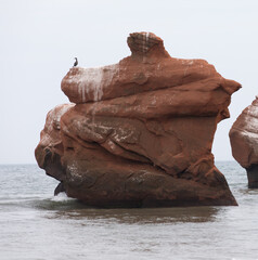 vue sur un rocher rouge recouvert de fientes d'oiseau au bord de l'eau en été avec un oiseau perché au top