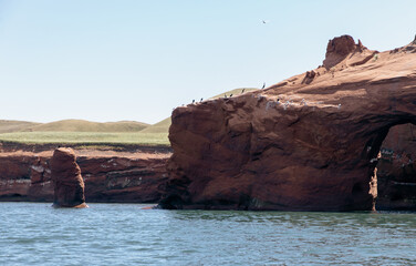 vue sur une falaise en roche rouge avec des fientes d'oiseau  et du gazon sur le dessus au bord de l'eau lors d'une journée d'été ensoleillée