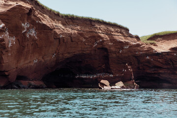 Falaise en roche rouge avec des fientes d'oiseau  et du gazon sur le dessus au bord de l'eau lors d'une journée d'été ensoleillée
