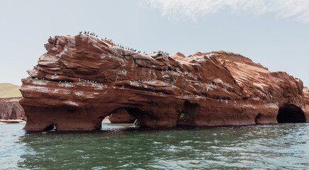 vue sur un rocher en roche rouge avec un trou recouvert de fiente d'oiseau au bord de l'eau lors d'une journée ensoleillée avec des oiseaux perchés au top